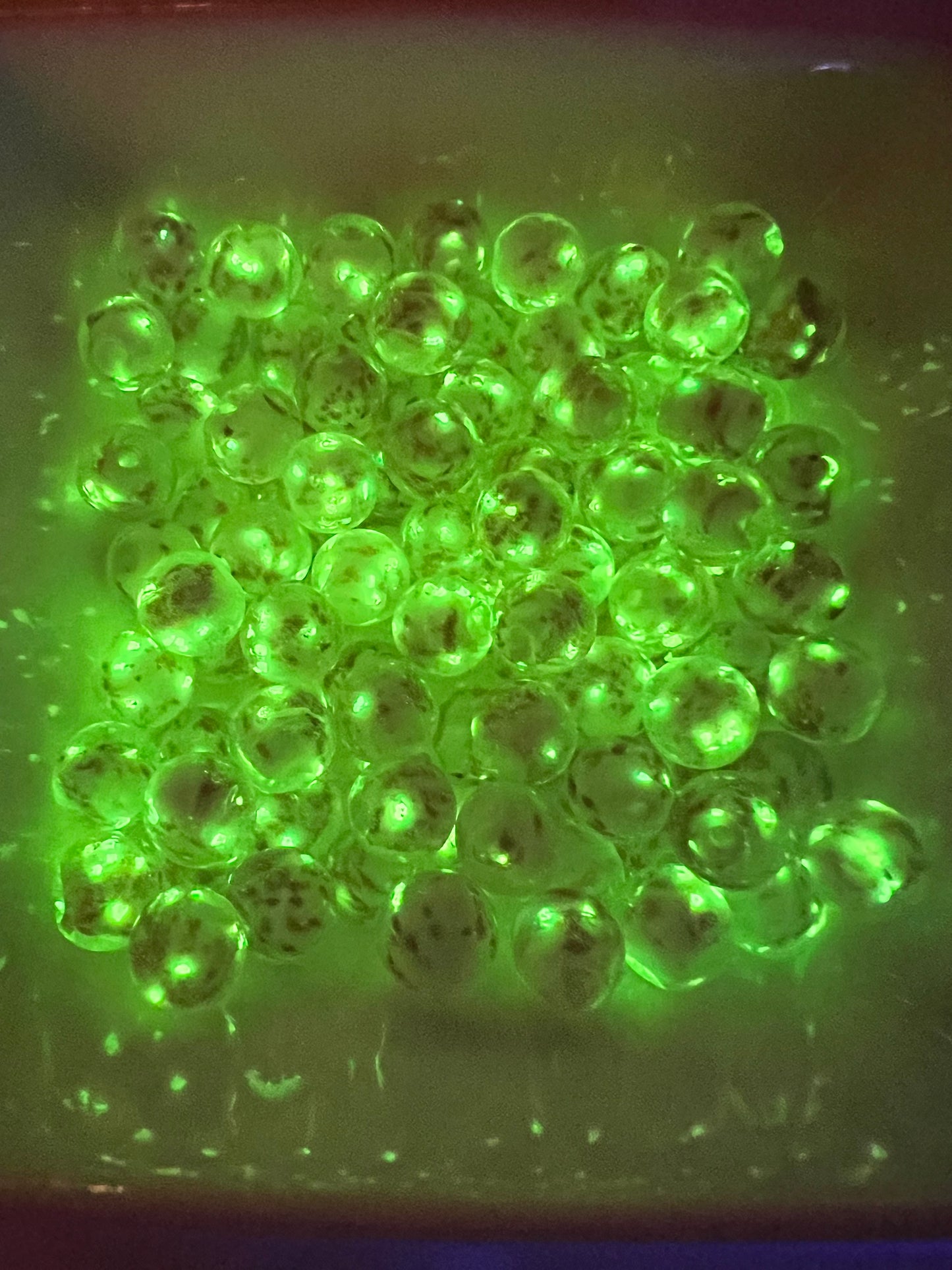 Firefly Beads pack of 20pcs