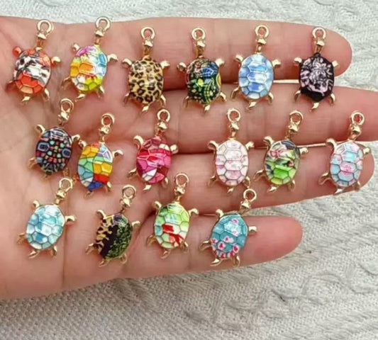 Turtle 🐢 Charms
